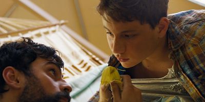 poster de la série Scalpel