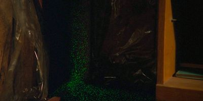 poster de la série Quand vient la nuit