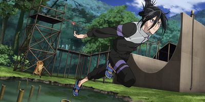 poster de la série Le Ninja qui en faisait trop