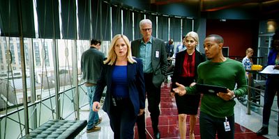 poster de la série Robin du Web