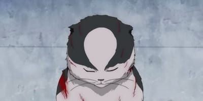 poster de la série Le blues du chat errant de Kabuki