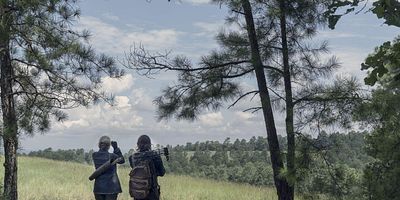 poster de la série Les liens