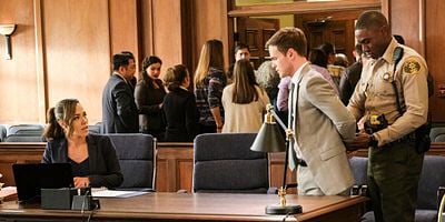 poster de la série What The Constitution Greens to Me