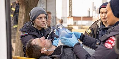 poster de la série Les fausses alertes