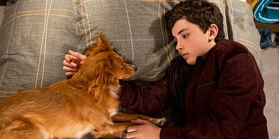 poster de la série À vos marques, prêts, jouez !