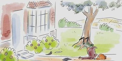 poster de la série Darwin