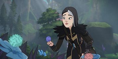 poster de la série La dague et le loup