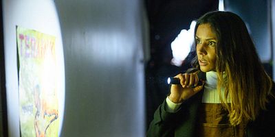 poster de la série Toxique