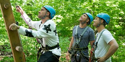 poster de la série La corneille triomphale