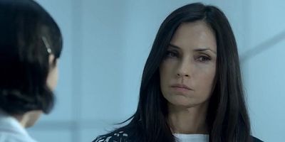 poster de la série La licorne