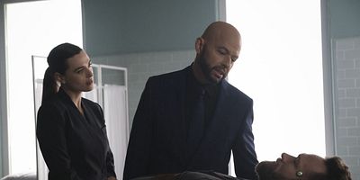 poster de la série Le chaînon manquant