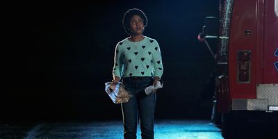 poster de la série Wildcat