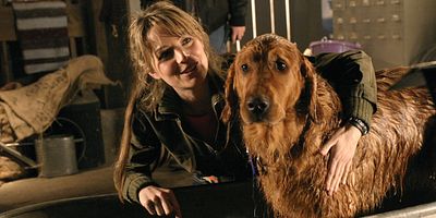 poster de la série Entre chien et loup