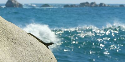 poster de la série La vie sans eau