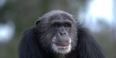 poster de la série Jeux de pouvoirs