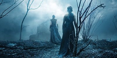 poster de la série Le vol