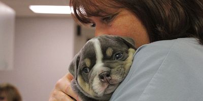 poster de la série Mesures héroïques