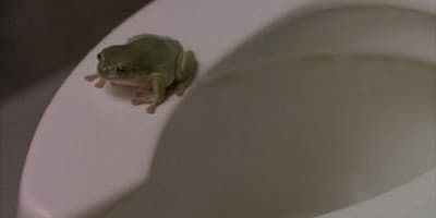 poster de la série Amour et châtiment