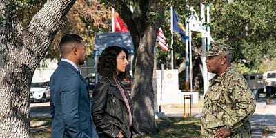 poster de la série Léda et le cygne - 1ère partie