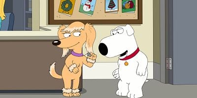 poster de la série Chienne de vie