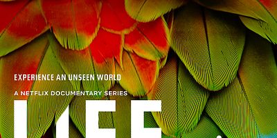 poster de la série En voir de toutes les couleurs