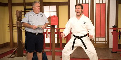 poster de la série Les adieux de Johnny Karaté