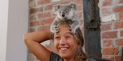 poster de la série Les bébés koalas