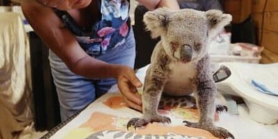 poster de la série Sauvée des flammes