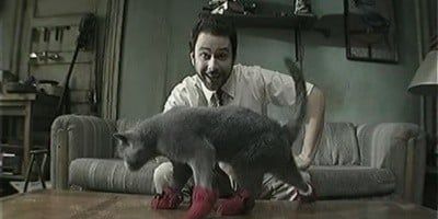 poster de la série Paddy's Pub: l'inventeur des chaussettes pour chats
