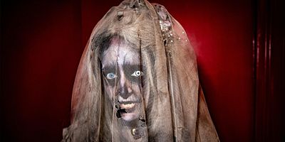 poster de la série Le métamorphe