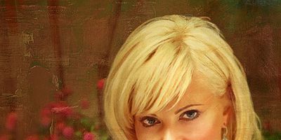 poster de la série M. et Mme Fox