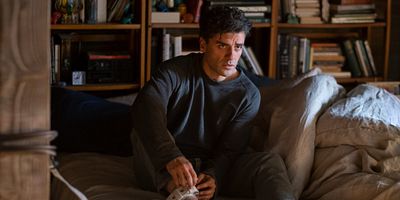 poster de la série Le mystère du poisson rouge