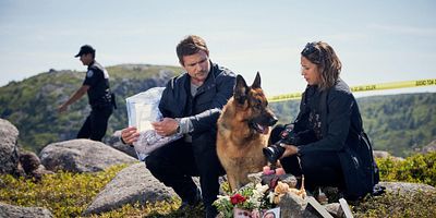 poster de la série Un été sans fin