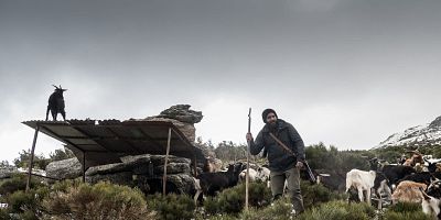 poster de la série Supervivencia