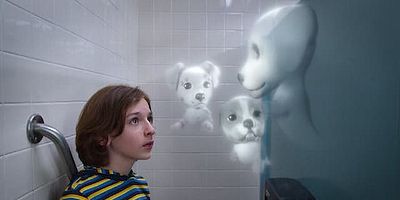 poster de la série Fans de basket