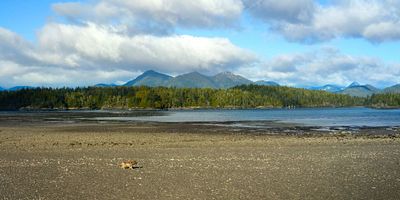 poster de la série Printemps