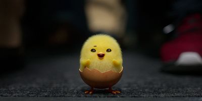 poster de la série Chute libre