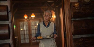 poster de la série Les fantômes de Zebrina