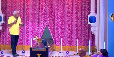 poster de la série La fashion week de Gérard Darmon