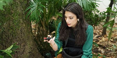 poster de la série Vacances studieuses