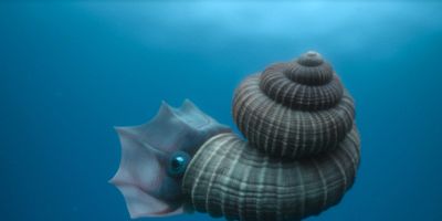 poster de la série Les océans