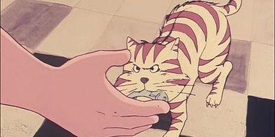 poster de la série Le chat perdu