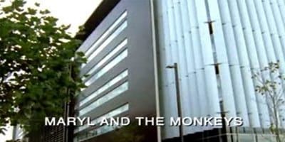 poster de la série Découverte génétique