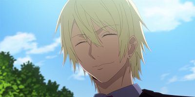 poster de la série Deux idiots trompeurs