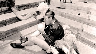 image de la news Quand la promotion d’un film va un peu trop loin : Jim Moran, l'homme qui a couvé un oeuf d’autruche pendant 19 jours