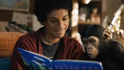 image de la news Michael : Bubbles, le chimpanzé de Michael Jackson, est-il encore vivant ?