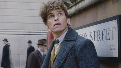 image de la news "Ça ne va pas être terrible" : il y a 9 ans, cet acteur français très populaire a refusé de jouer dans Les Animaux fantastiques