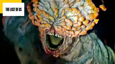 The Last Of Us sur Prime Video : le champignon tueur existe-t-il vraiment et peut-il infecter les humains ?