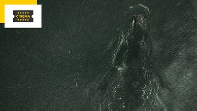 image de la news Le meilleur film de monstre des années 2000 n'est pas américain et il ressort au cinéma !