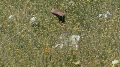 image de la news C’est la cascade la plus culte de la télévision : retour sur les coulisses de ce moment génial du petit écran